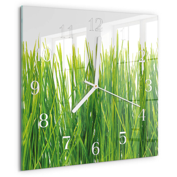 Square wall clock Grass