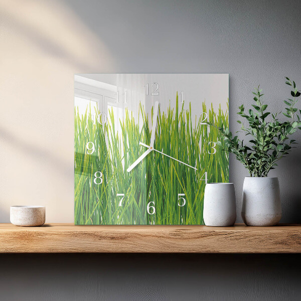 Square wall clock Grass