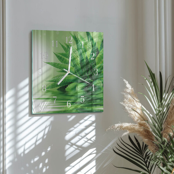 Square wall clock Aloe