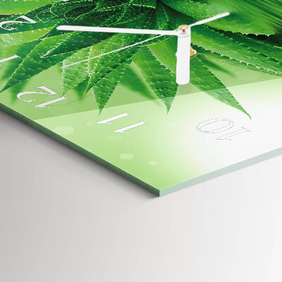 Square wall clock Aloe