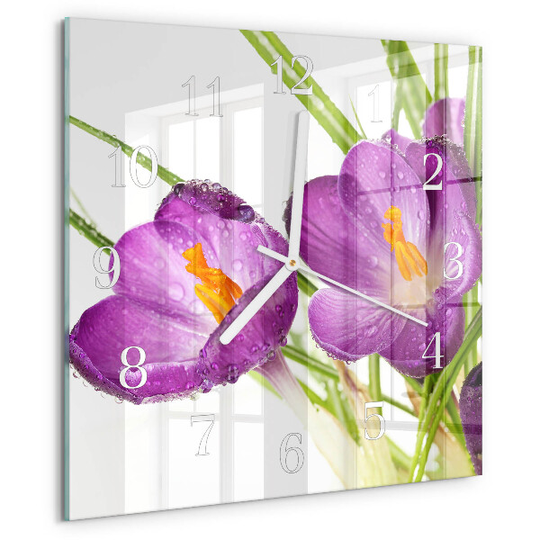 Square wall clock Crocuses