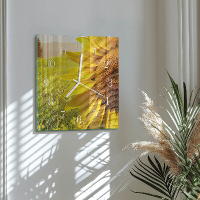 Square wall clock Sunflower