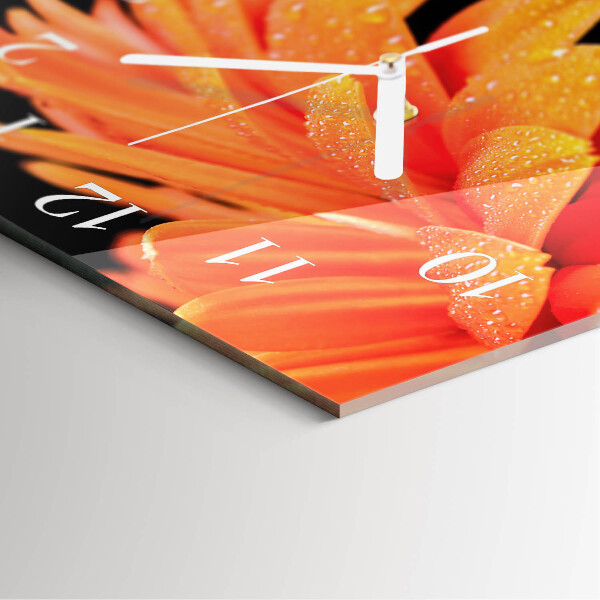 Square wall clock Gerbera