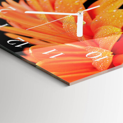 Square wall clock Gerbera
