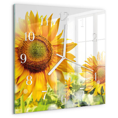 Square wall clock Sunflower