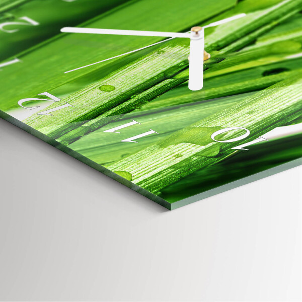 Square wall clock Grass