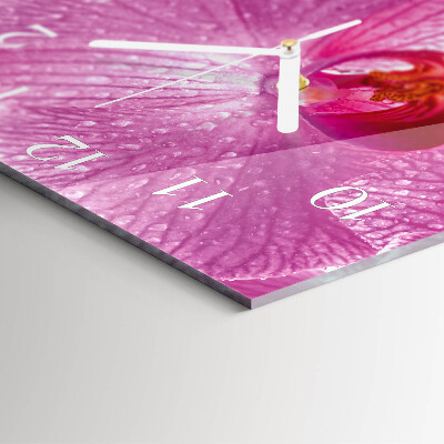 Square wall clock Orchid