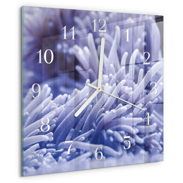 Square wall clock Anemone