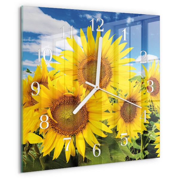 Square wall clock Sunflowers