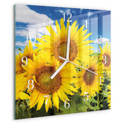 Square wall clock Sunflowers