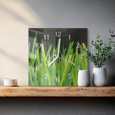 Square wall clock Grass