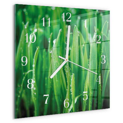 Square wall clock Green grass