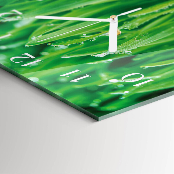 Square wall clock Green grass