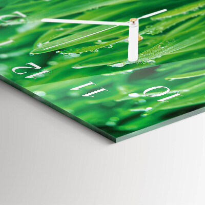 Square wall clock Green grass