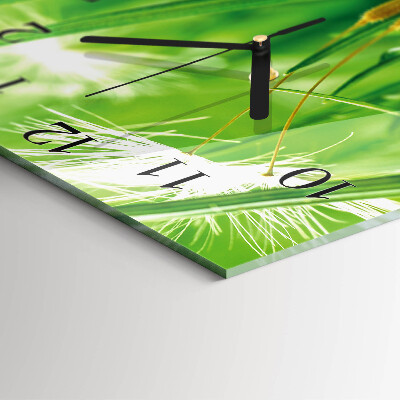 Square wall clock Grass