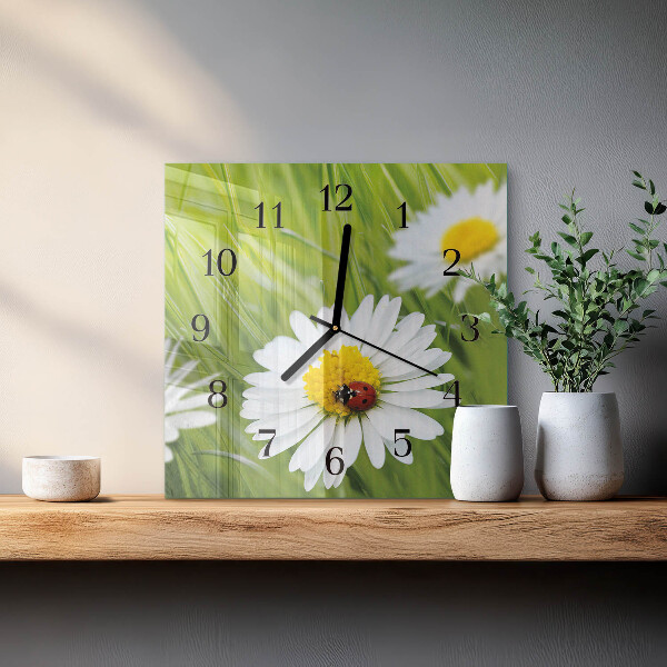 Square wall clock Daisies