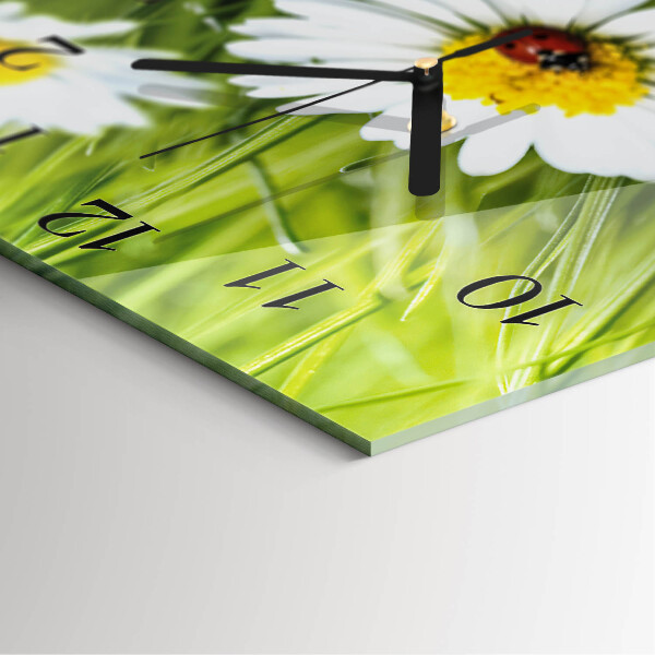 Square wall clock Daisies