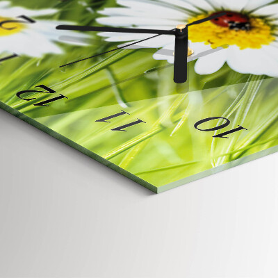 Square wall clock Daisies