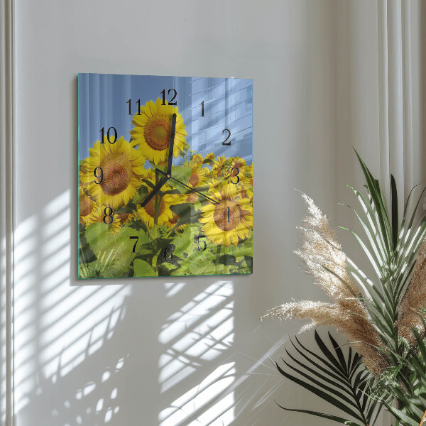 Square wall clock Sunflowers