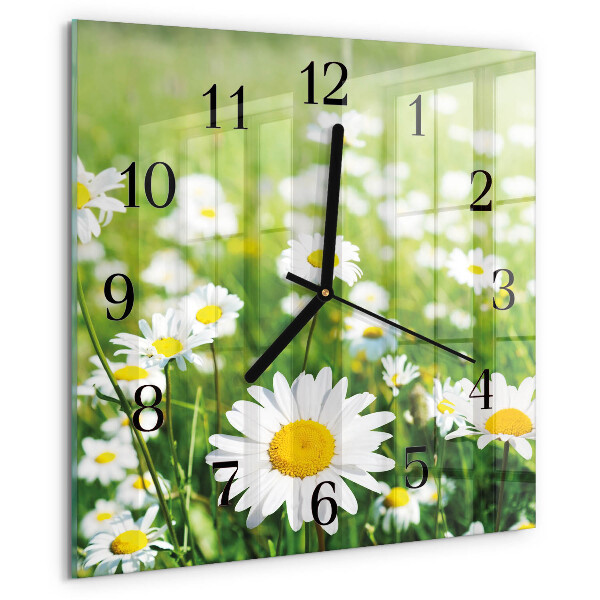 Square wall clock Daisies