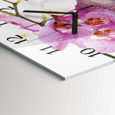 Square wall clock Orchid