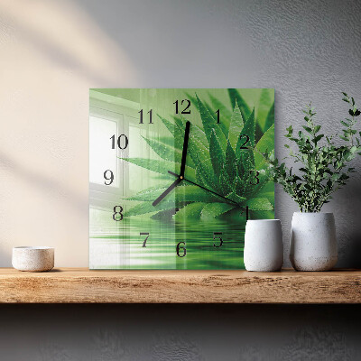 Square wall clock Aloe