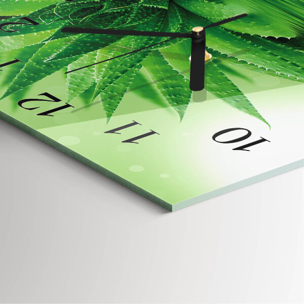 Square wall clock Aloe