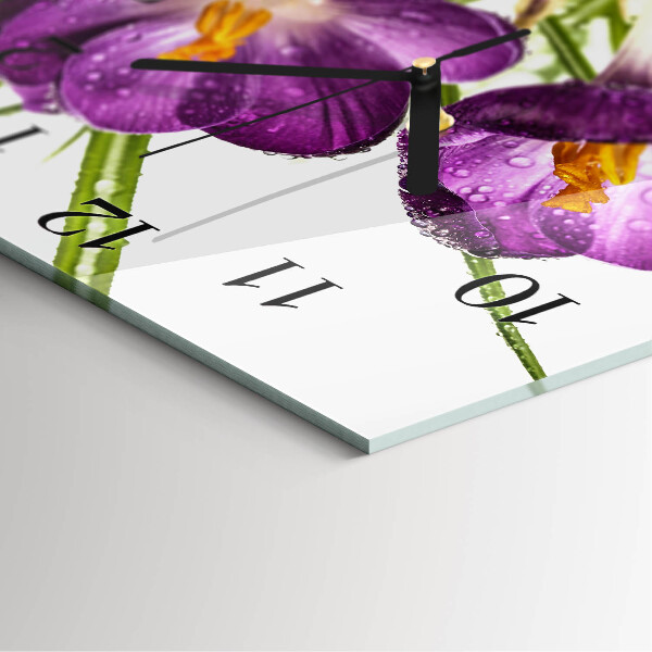 Square wall clock Crocuses