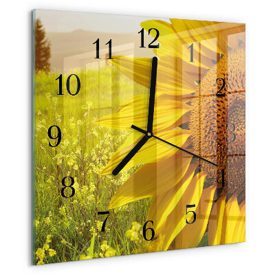 Square wall clock Sunflower