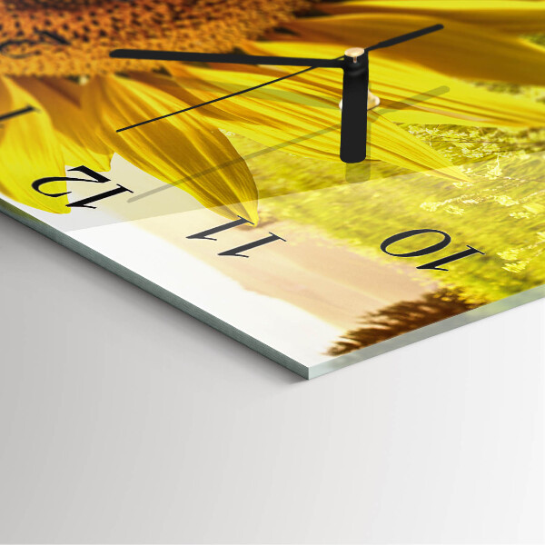 Square wall clock Sunflower