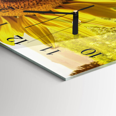 Square wall clock Sunflower