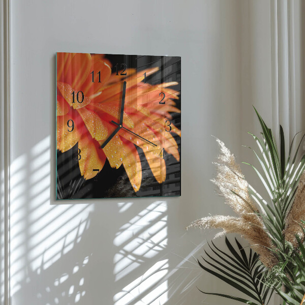 Square wall clock Gerbera