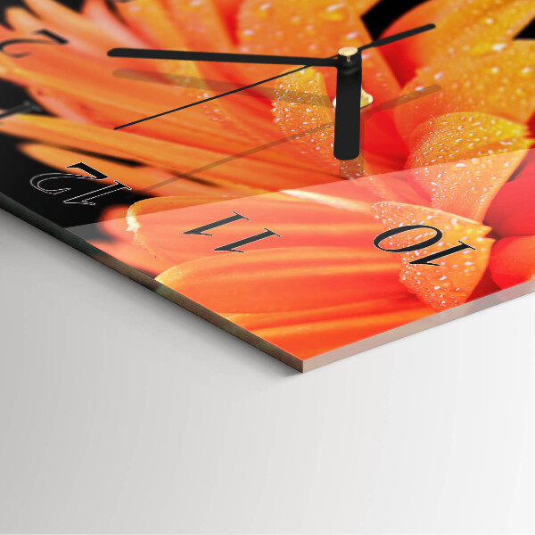Square wall clock Gerbera