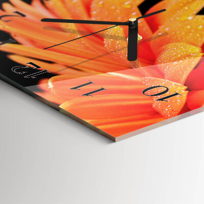 Square wall clock Gerbera