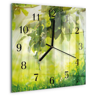 Square wall clock Apple Tree