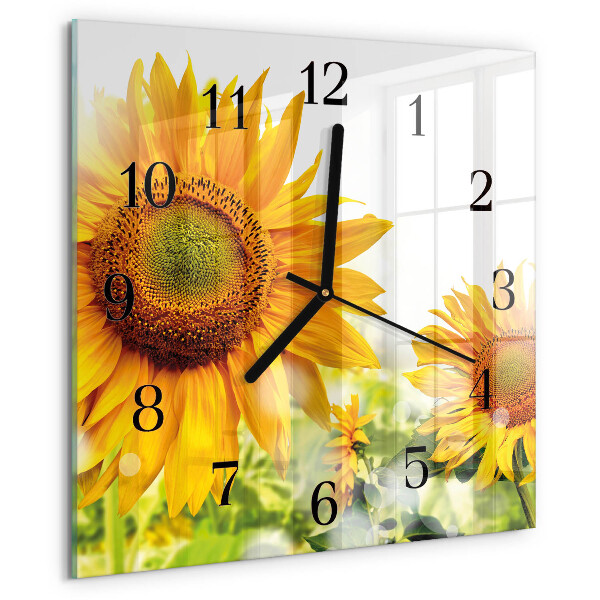 Square wall clock Sunflower