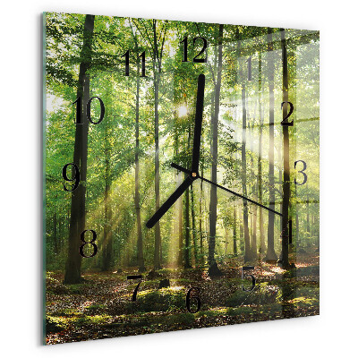 Square wall clock Forest Nature
