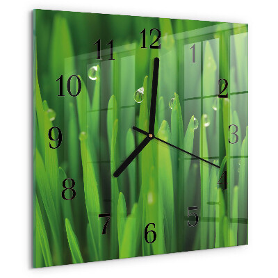 Square wall clock Grass