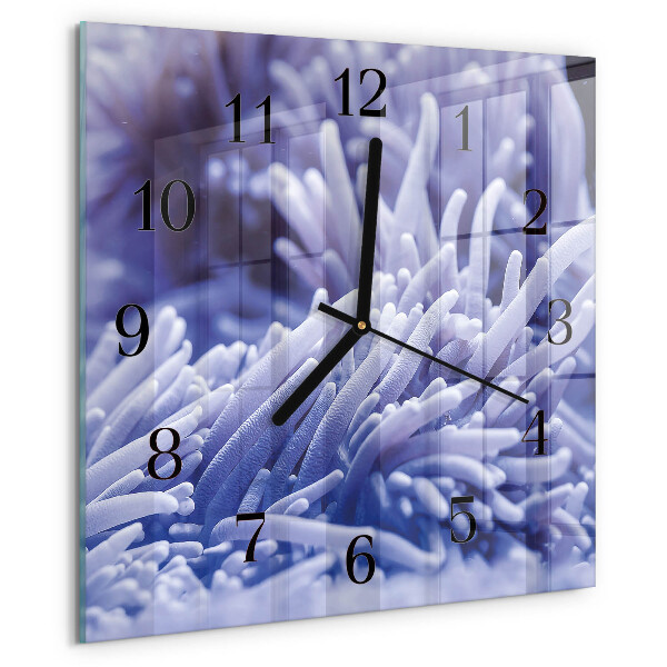 Square wall clock Anemone