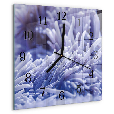 Square wall clock Anemone