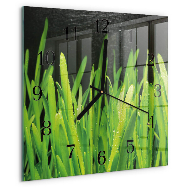 Square wall clock Grass