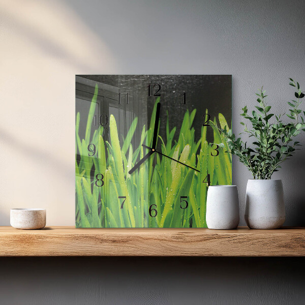Square wall clock Grass