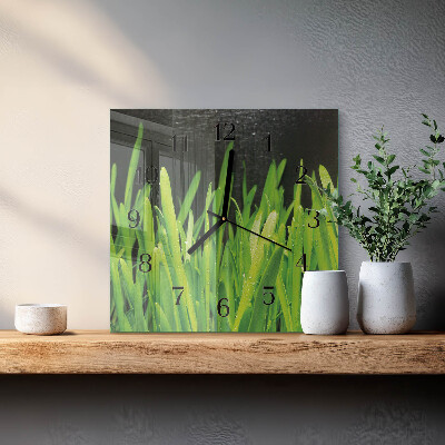Square wall clock Grass