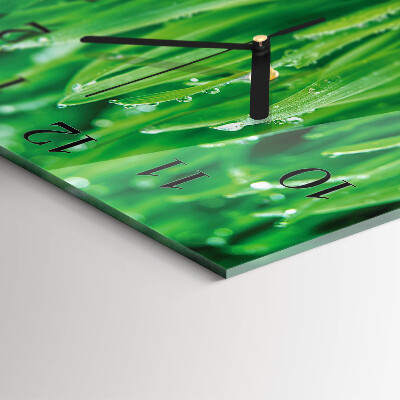 Square wall clock Green grass