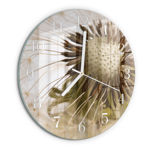 Round wall clock Dandelion