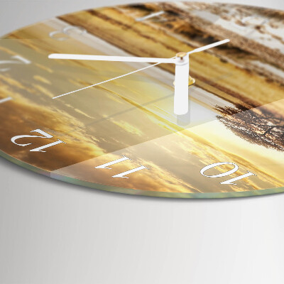 Round wall clock Zebras