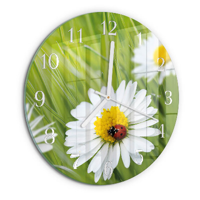 Round wall clock Daisies