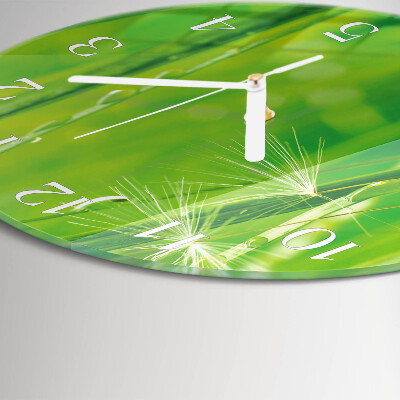 Round wall clock Grass