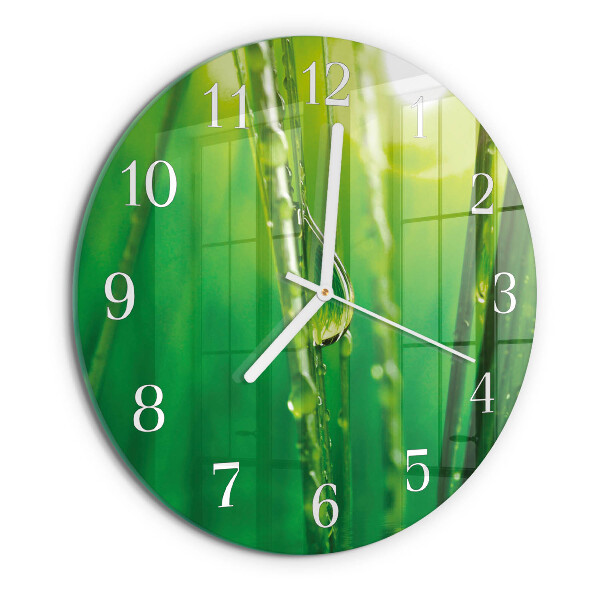Round wall clock Drops of Grass