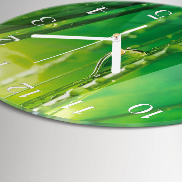 Round wall clock Drops of Grass